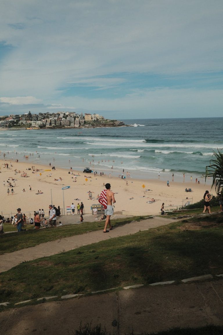 sunny bondi beach scene with surfers and swimmers